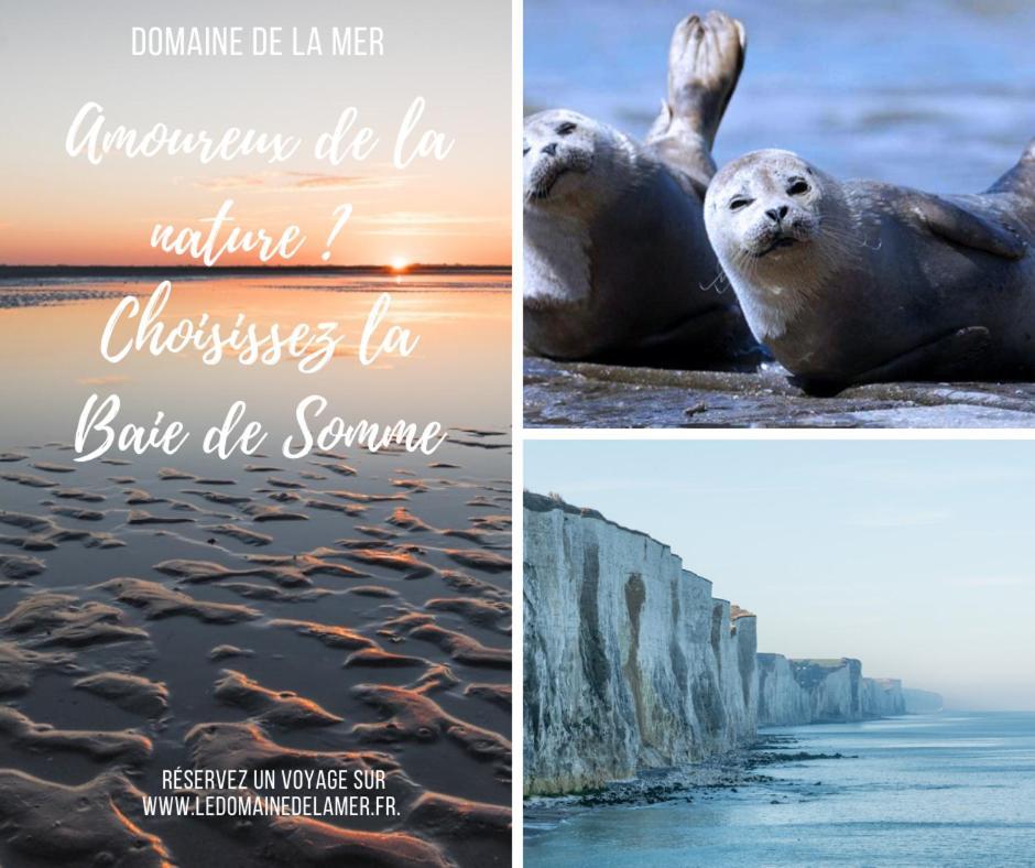 Domaine De La Mer Woignarue Dış mekan fotoğraf
